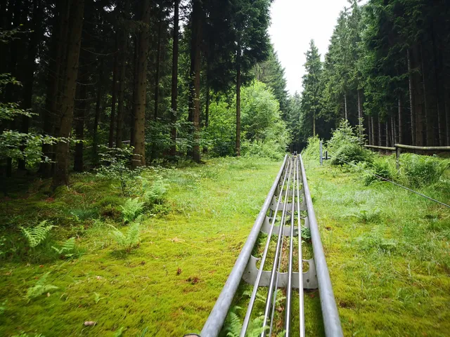 Mountain toboggan run Sternrodt
