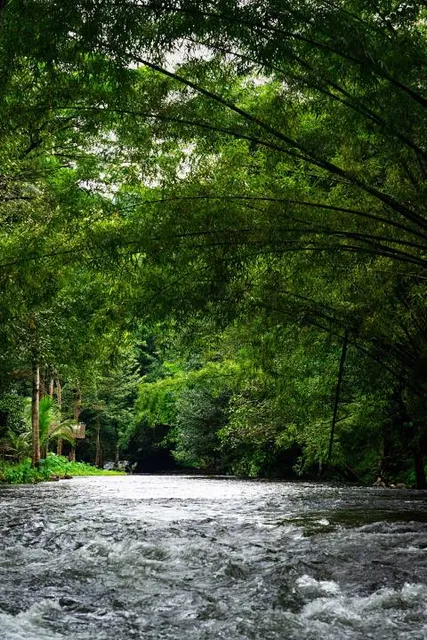 Cascade Valley Metro Park-Chuckery Area