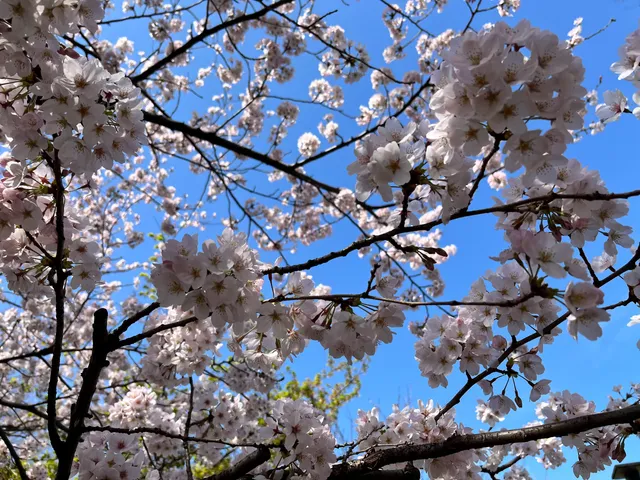 Toshima City Nagasaki Park