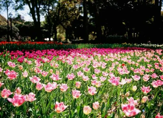 photo-1