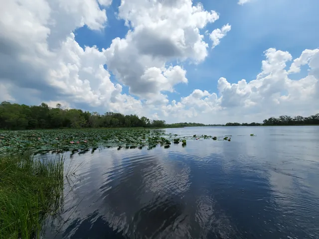 Paya Indah Discovery Wetlands (Gate 1)