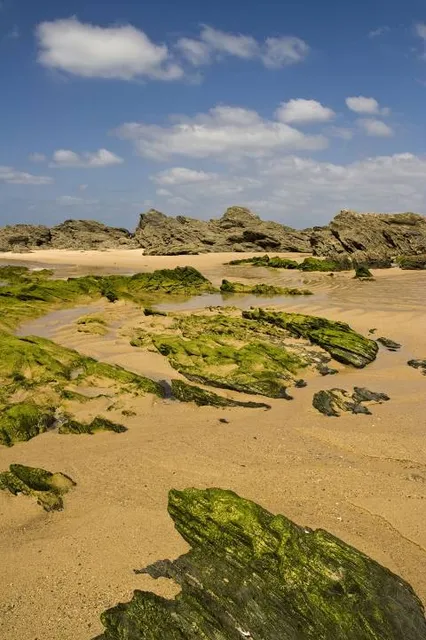 Praia da Samouqueira