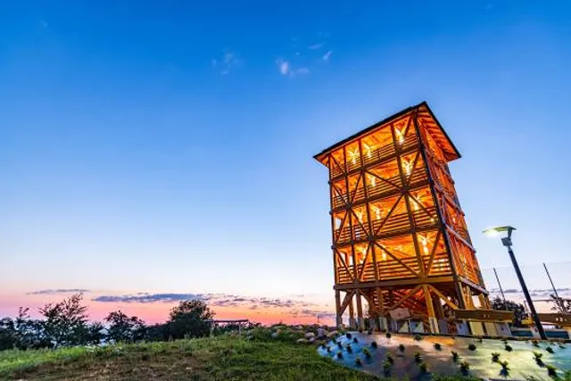 Aussichtsturm Betzelhübel