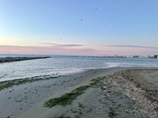 PLAGE DE PORT CAMARGUE (Forum 2000)