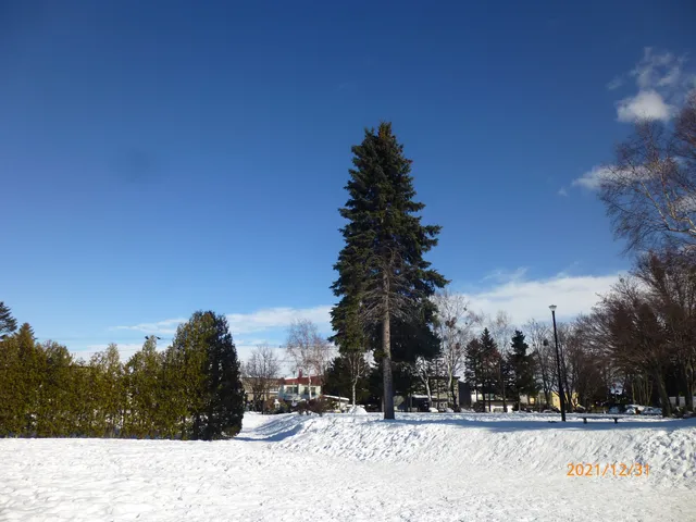Nishioka Takadai Park