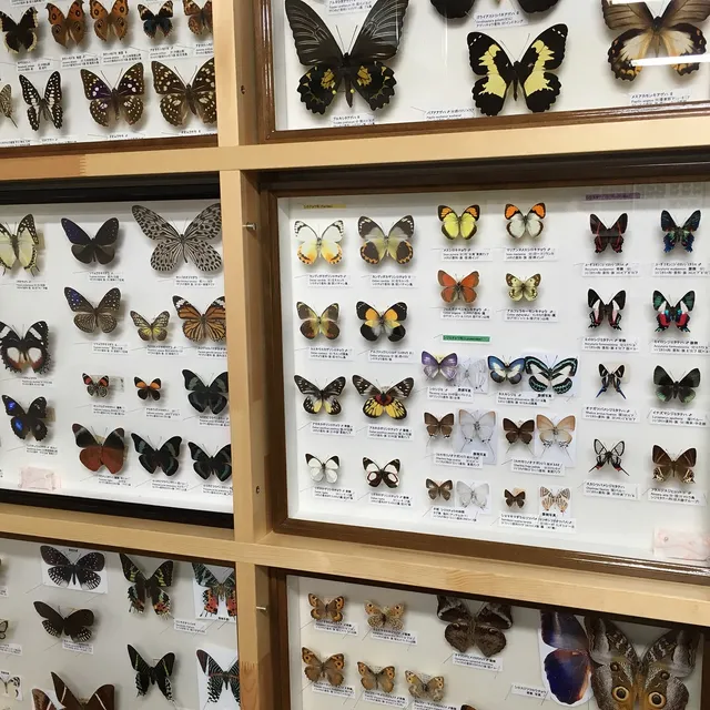 Shinshukonchu Museum