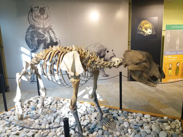 Museo di Archeologia e Paleontologia "Carlo Conti"