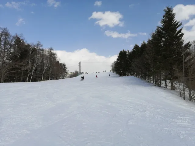 Sugadaira Kogen Hare Ski Resort