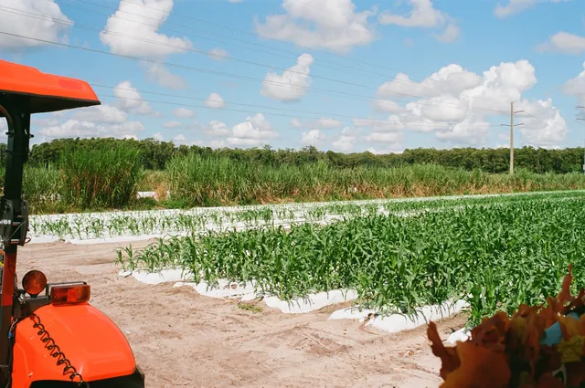 Weekend Animal Edventures