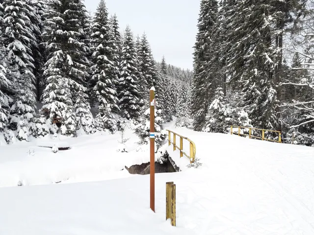 Dolina Białej Lądeckiej