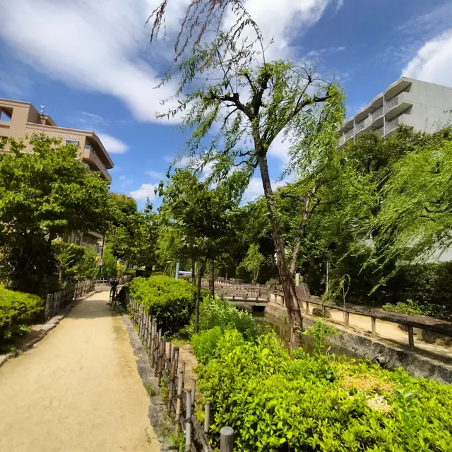 Edagawa Green Road Park