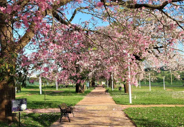 Parque das Barrigudas