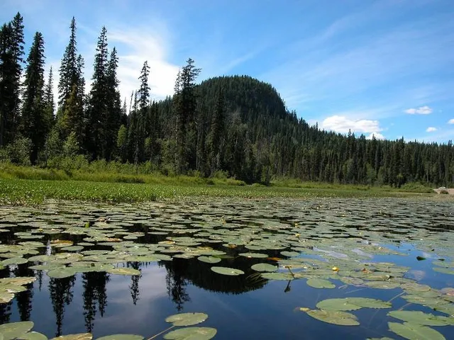photo-2