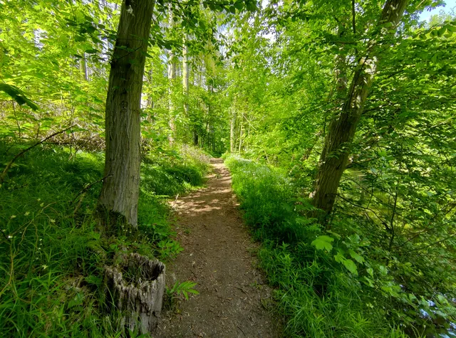 Weißenberg - Wóspork