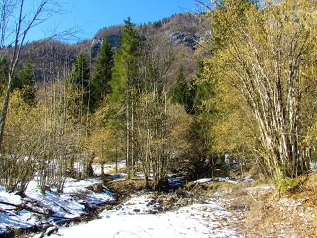Cascada Săritoarea