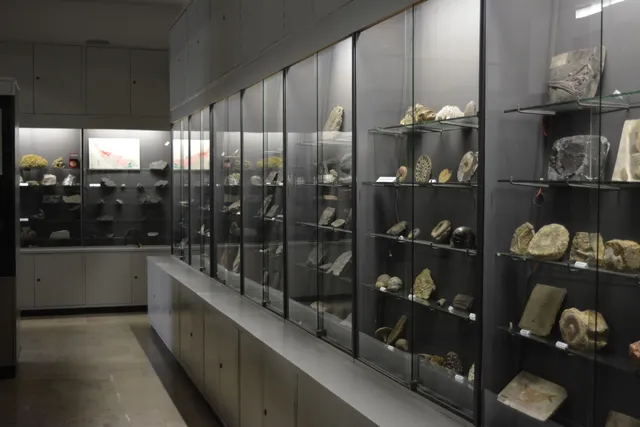 Geological Museum of the University of Wroclaw