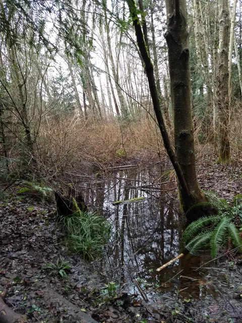 Paramount Open Space