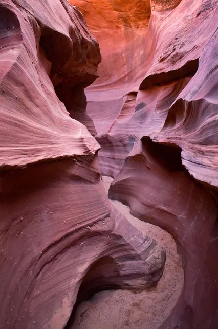 Wilderness Canyon Zip Line