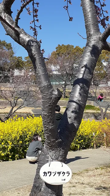 photo-1