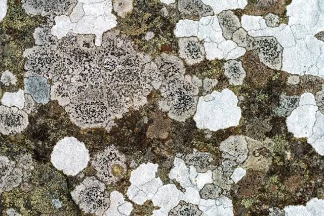 Village médiéval d'Hautpoul