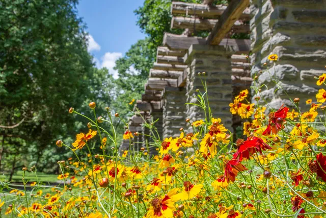 Stoneleigh: a natural garden