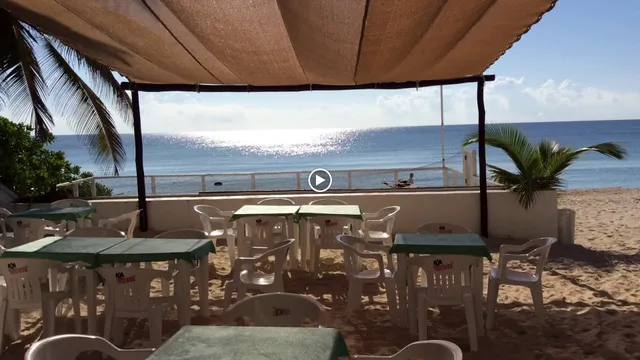 The Beached Bikini Bar and Grill