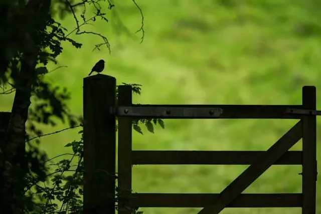 Herefordshire Wildlife Trust