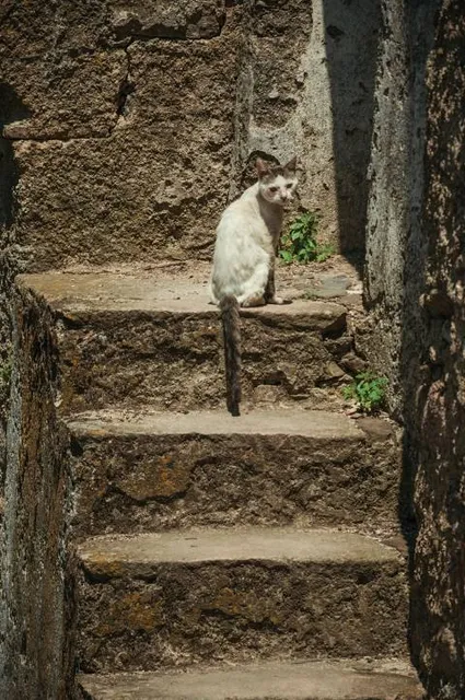 Kondangi Lake view Point