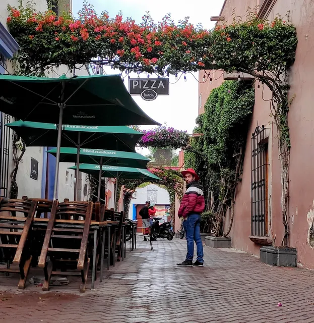 Bacha & Co. Pizza & Beer