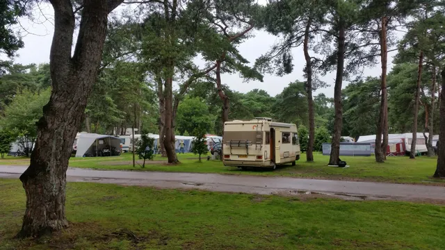 Biltse Dunes - Utrechtslandschap
