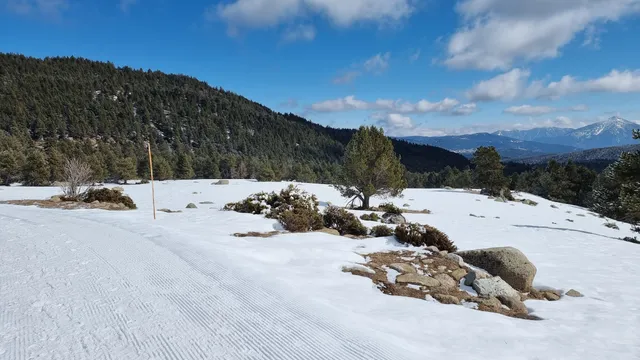 Pla Del Mir, Les Angles