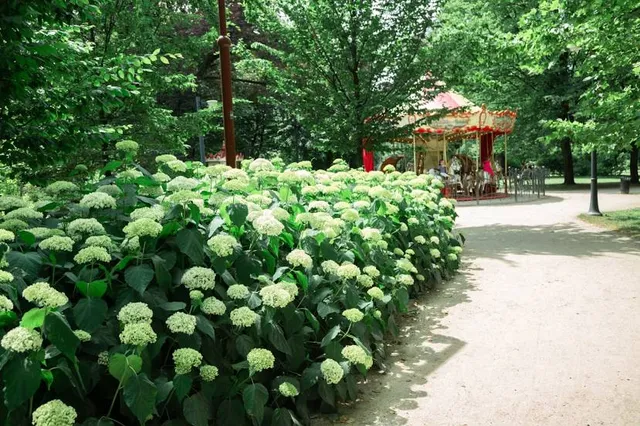 Nicolaus Copernicus Park