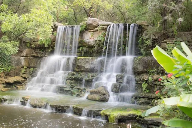 South Texas Botanical Gardens & Nature Center