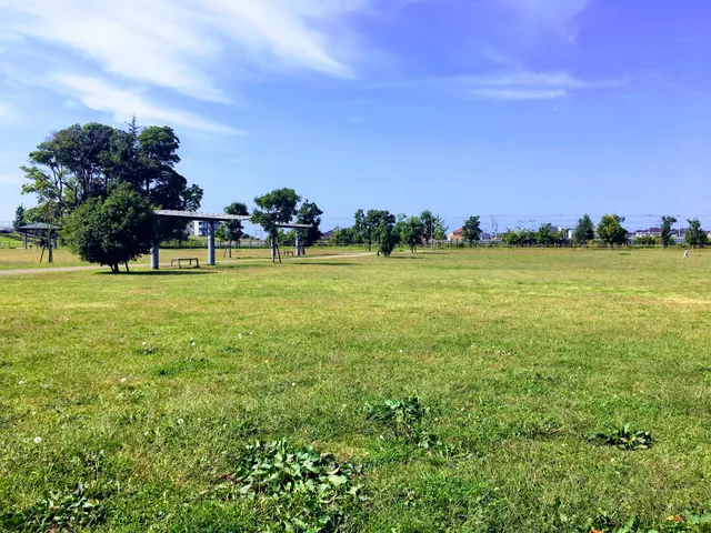 photo-2