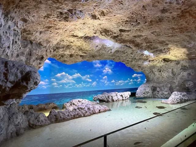 DMM Kariyushi Aquarium