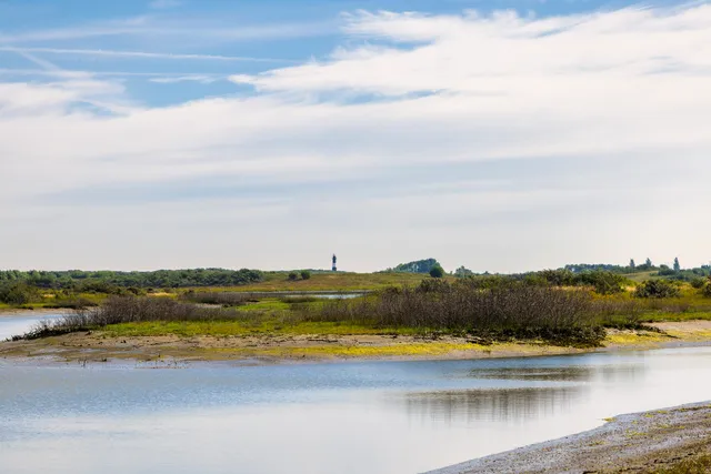 Waterdunen natuurgebied