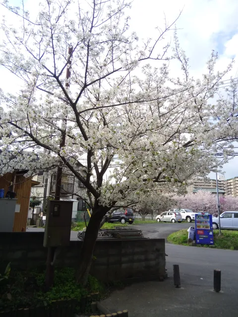Kamejima Natural Park