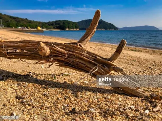 Gotanji Swimming Beach