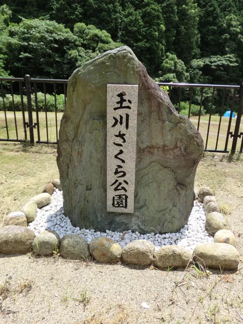 Tamagawa Sakura Park