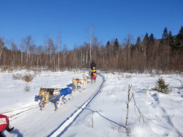 Baikal Dog Sledding Centre