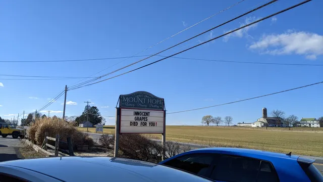 Mt Hope Wine Gallery