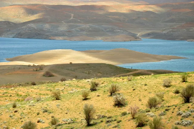 place image