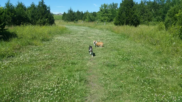 Kill Creek Streamway Dog Park