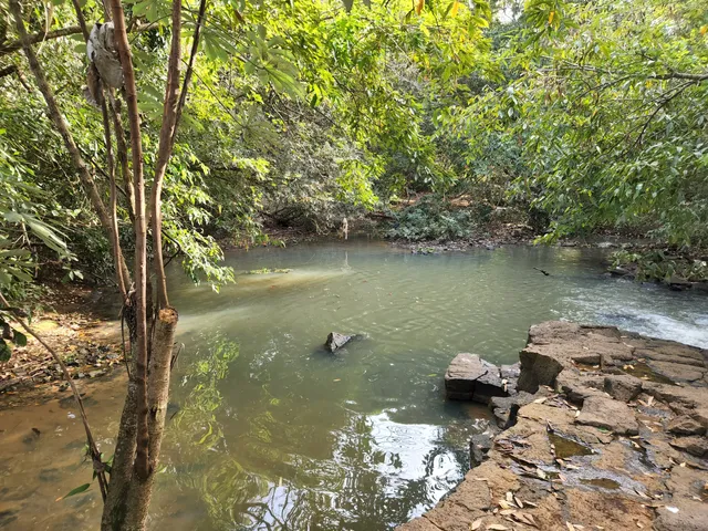 Parque Ecológico Baguaçu - PEBA