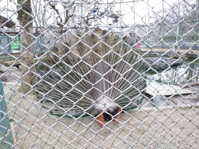 Yawata City Children’s Zoo