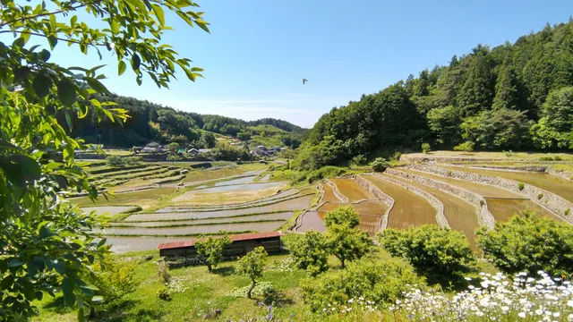 Kamidaida Rice Terraces