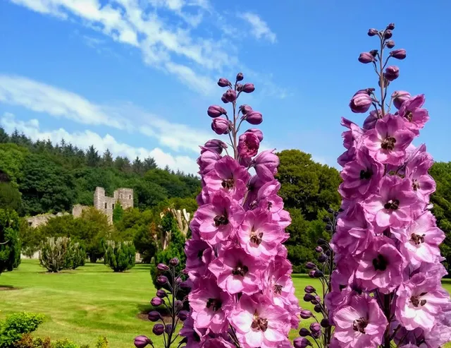 Ellon Castle Gardens