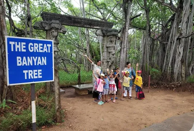 The Theosophical Society