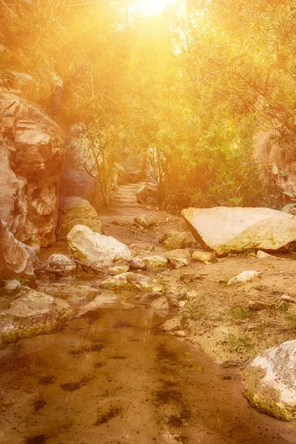 Sendero Rio De La Miel