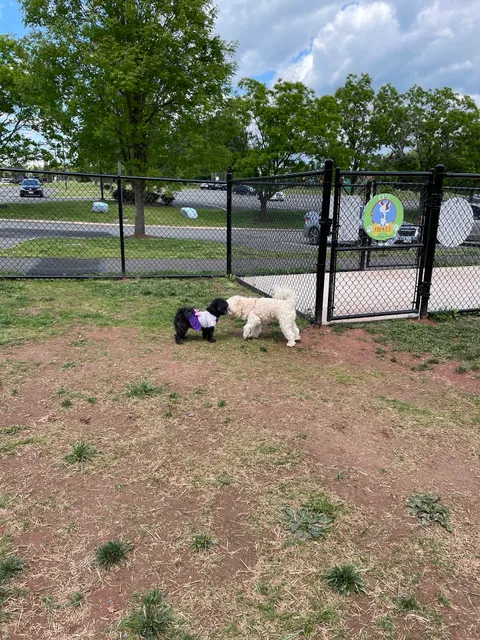 Lucky's Dog Park